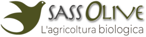 Sassolive Logo Header