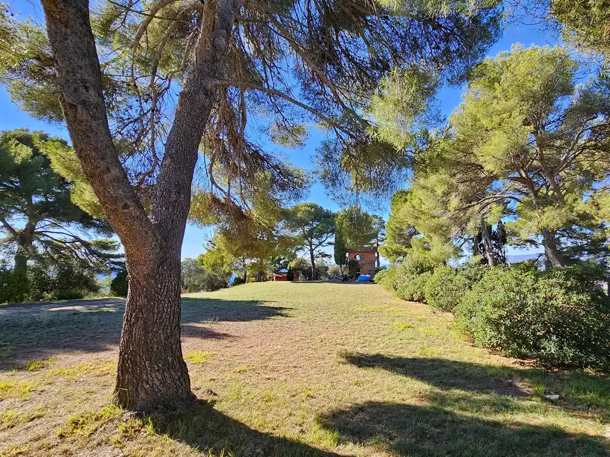 About us Garden Sassolive