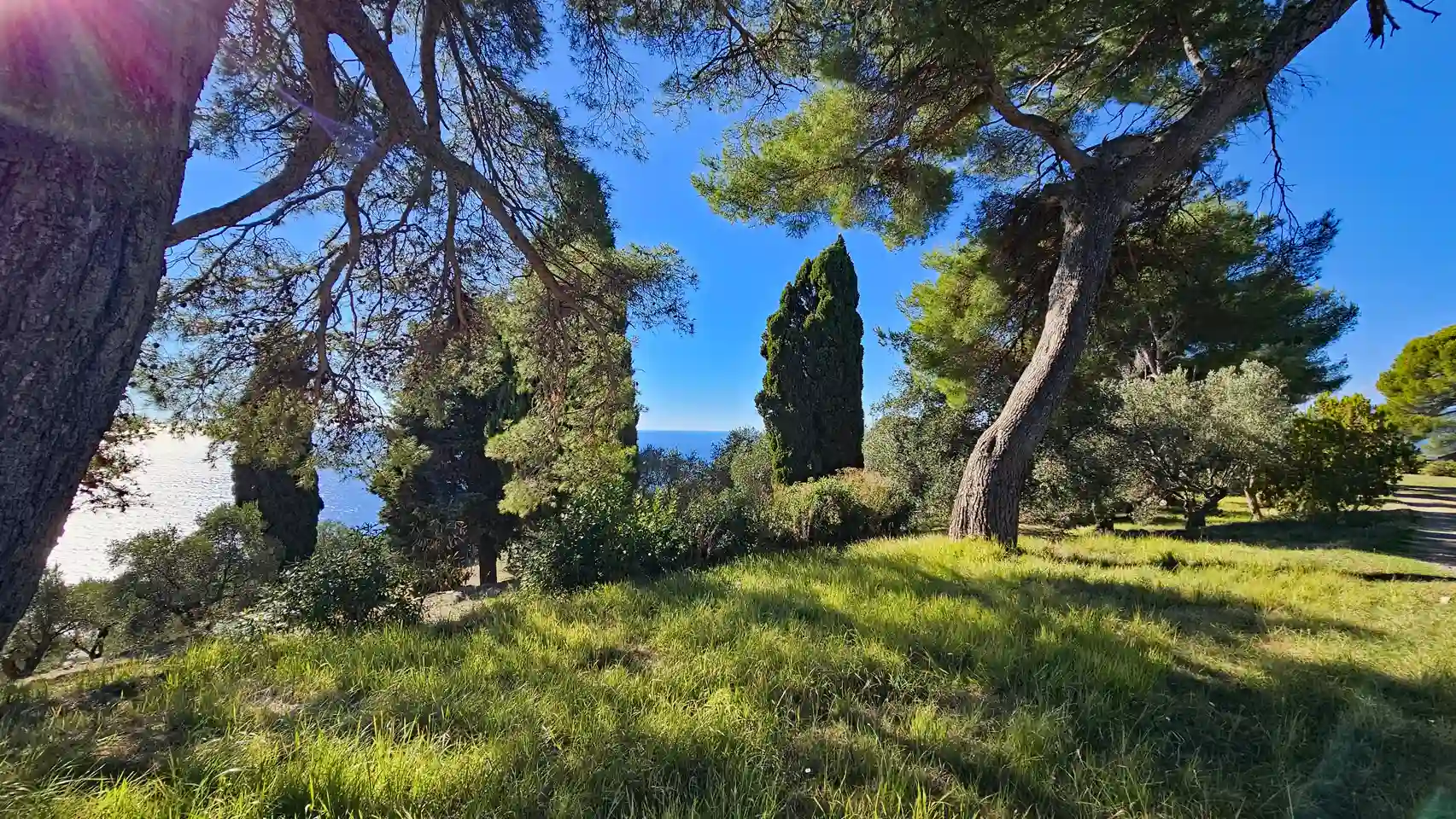 Azienda Agricola Sassolive Farm